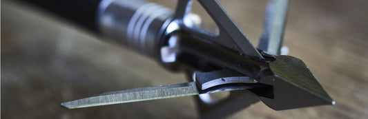 Broadhead arrow for deer hunting.