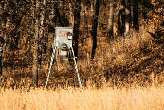 A deer feeder surrounded by grass and trees