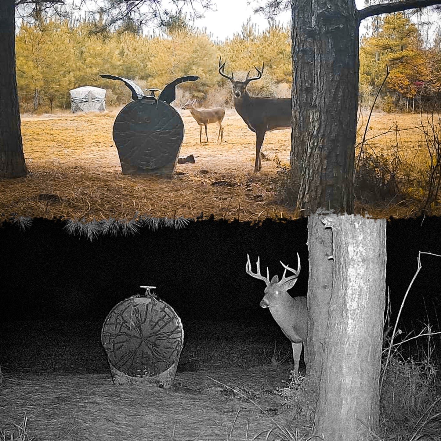 Daytime Deer Feeder – OUTFITTER BUNDLE