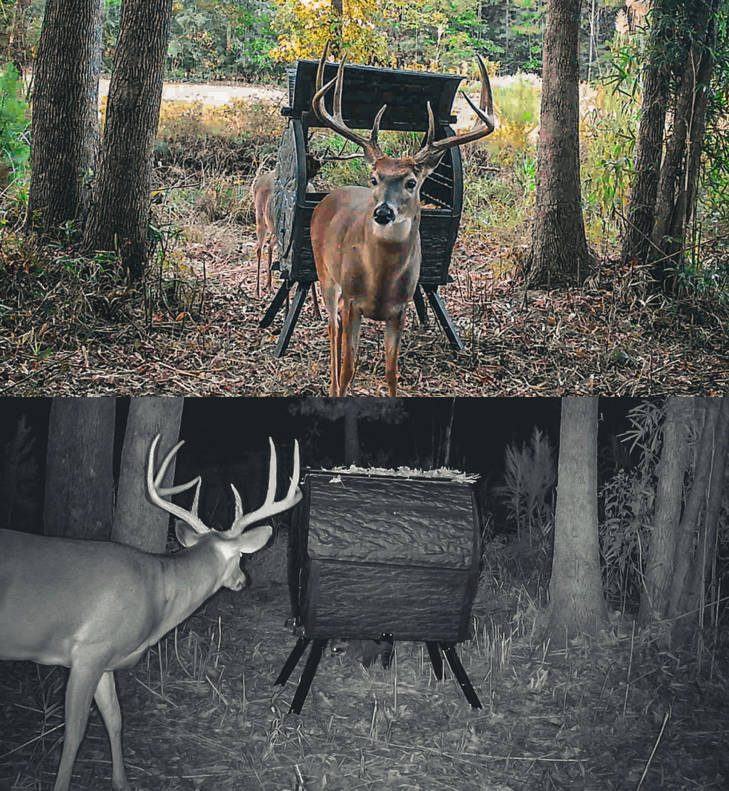 Daytime Deer Feeder – OUTFITTER BUNDLE