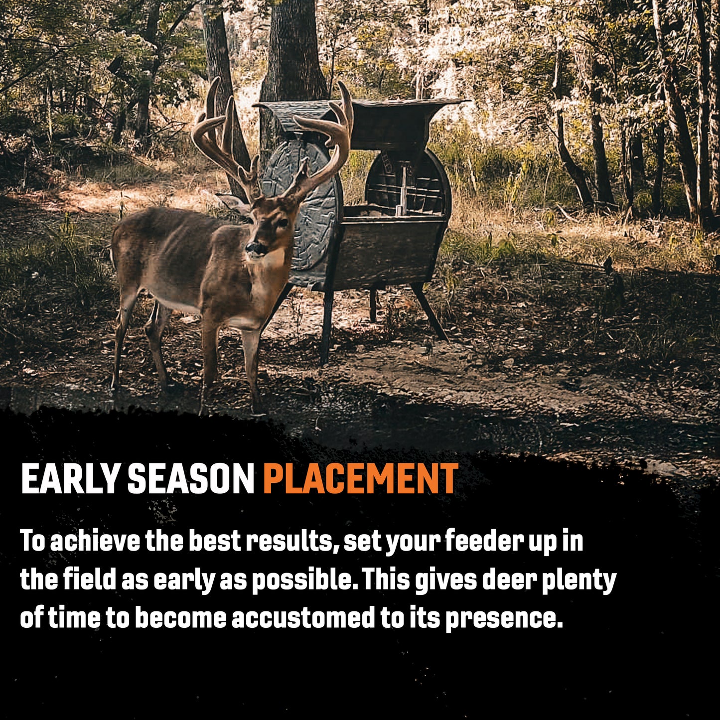 Daytime Deer Feeder – OUTFITTER BUNDLE