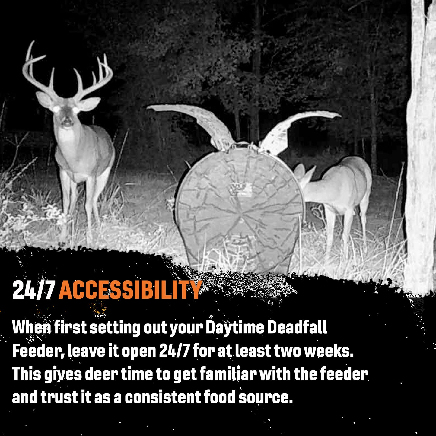 Daytime Deer Feeder – OUTFITTER BUNDLE