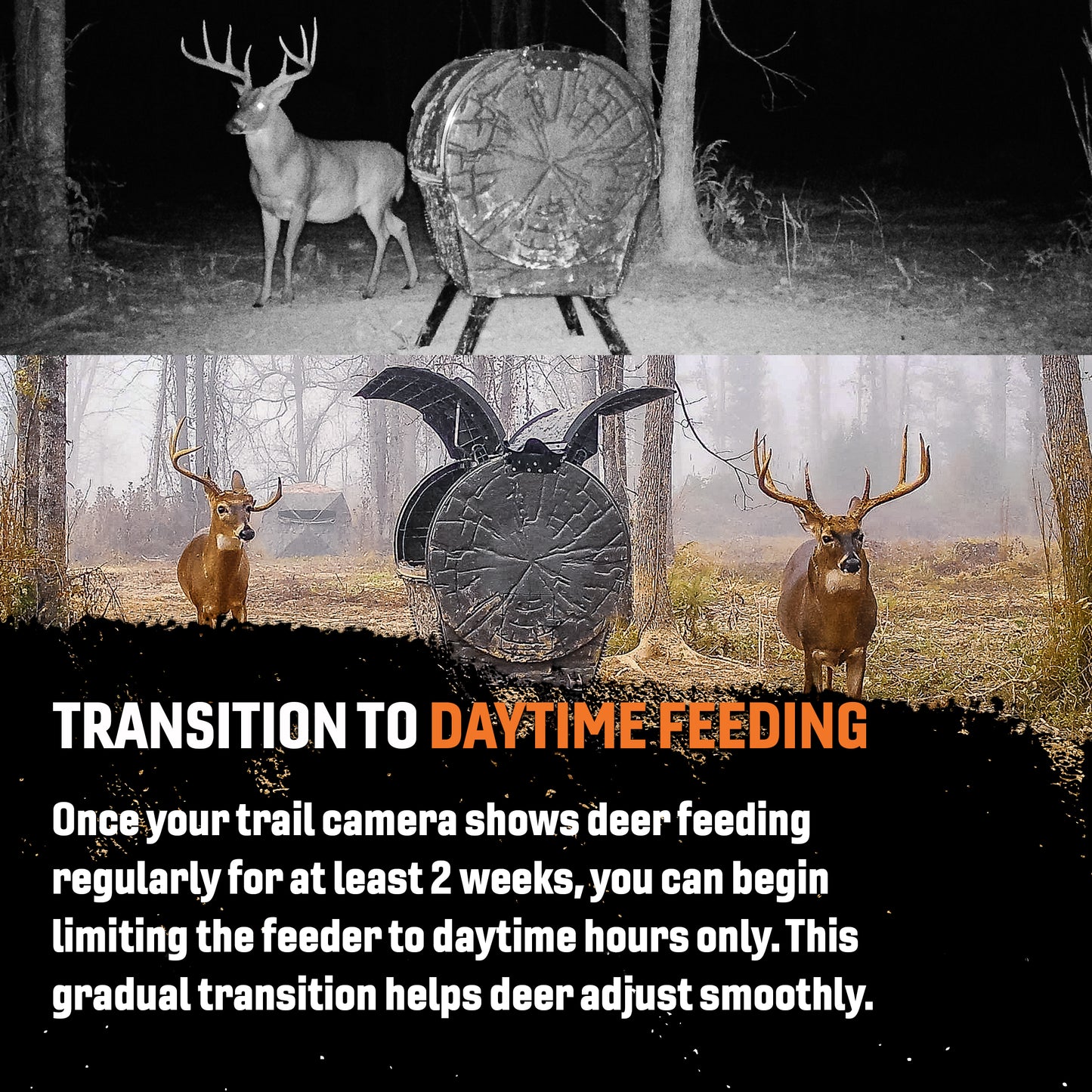 Daytime Deer Feeder – OUTFITTER BUNDLE